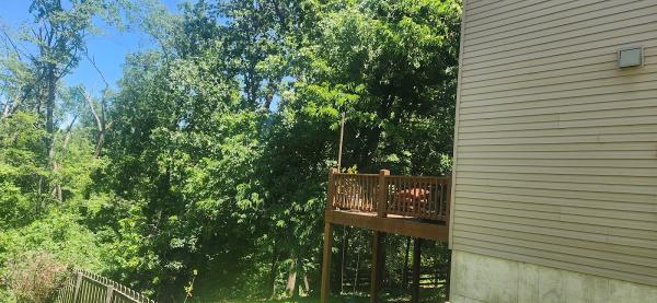 Mid America Tree Experts
