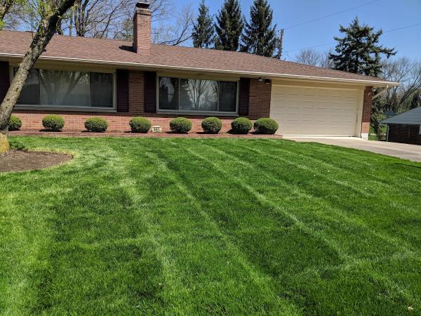 Turfsurge