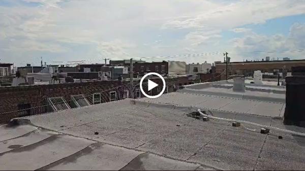 Xpert Chimney Sweep