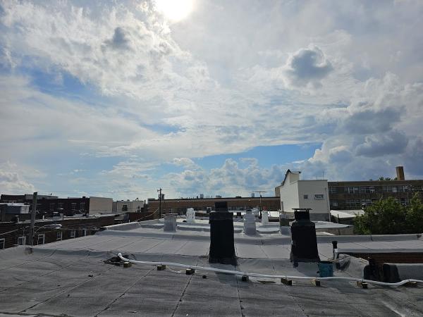 Xpert Chimney Sweep