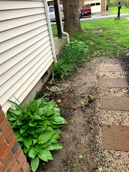 Procutters Lawn and Landscape LLC