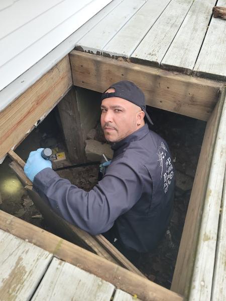 Pest Trap Exterminating