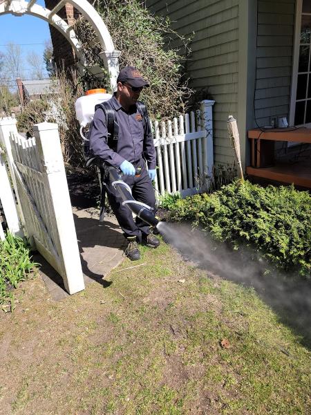 Pest Trap Exterminating