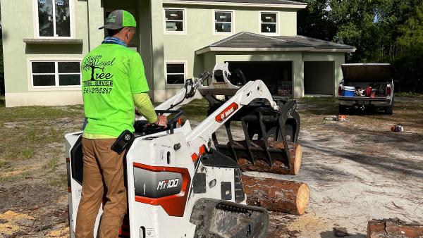 Loyal Tree Tree Services