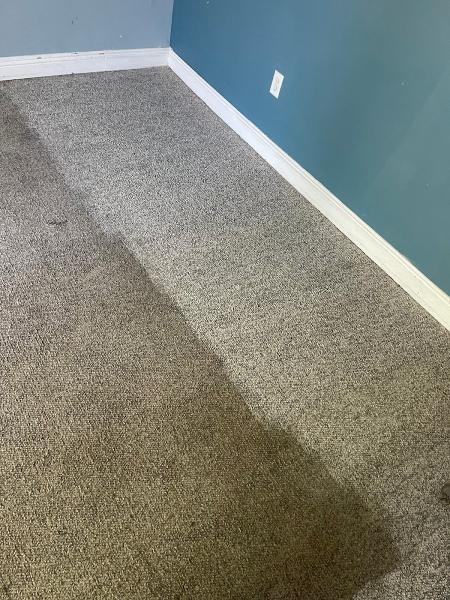 All In One Cleaning Solutions