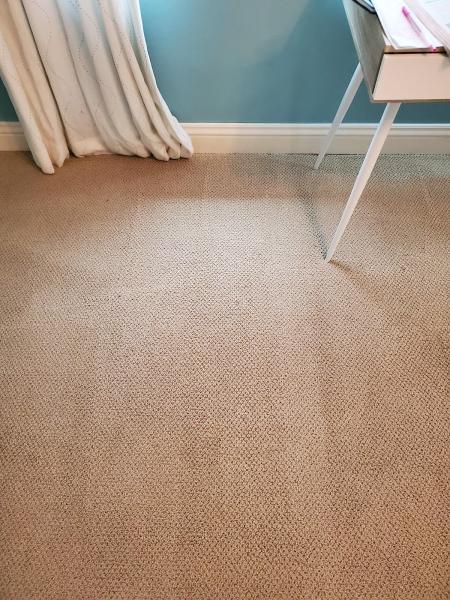 Clean Nest Carpet Cleaning