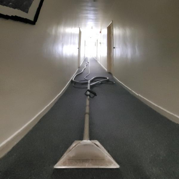 Clean Nest Carpet Cleaning