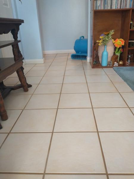 Marcial Carpet Cleaning Solutions