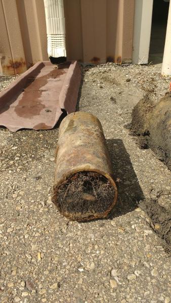 Roto-Rooter Sewer & Drain Service