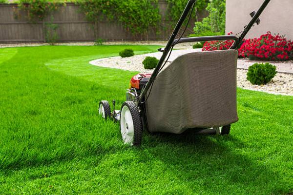 The Lawn Kingz