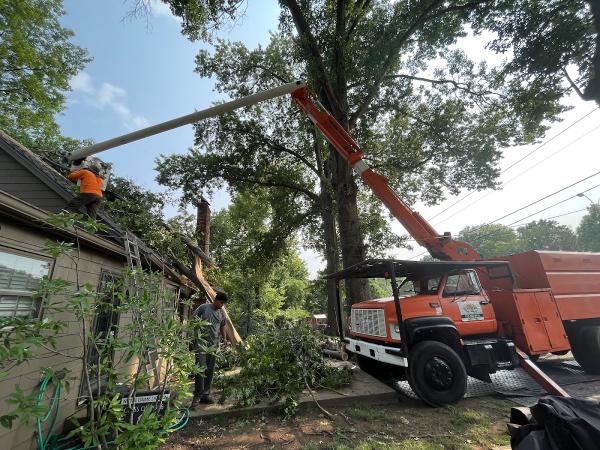 Sunshine Tree Service