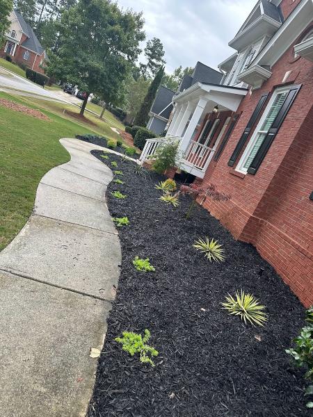 Collier Landscaping