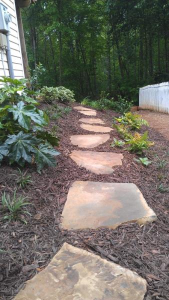 Collier Landscaping