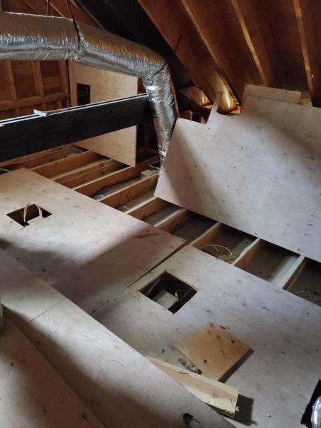 Long Island Mold Removal Pros