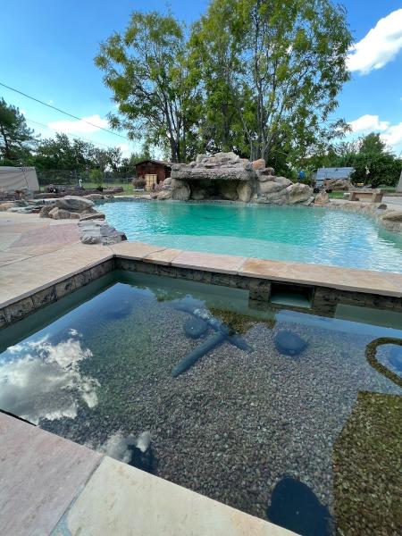 Natural Swimming Pools