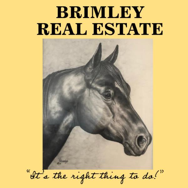 Brimley Real Estate