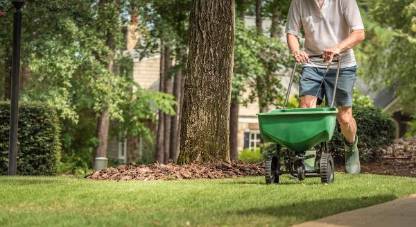 Elegant Greens Lawn Care