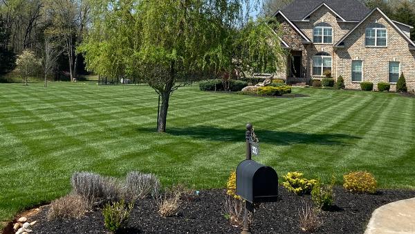 Exterior Spaces Landscaping