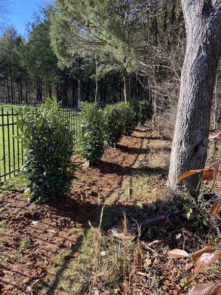 Exterior Spaces Landscaping
