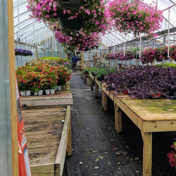 Patterson's Garden Co.