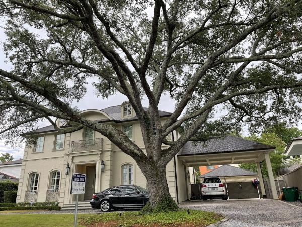 Lakeview Lumberjacks Tree Service