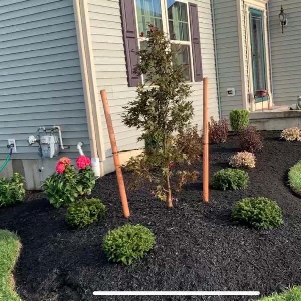 Alliance Landscapes