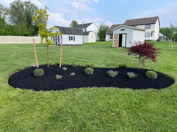 Alliance Landscapes