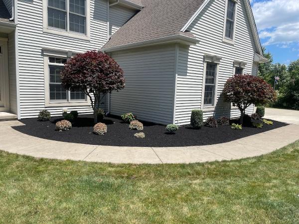 Alliance Landscapes