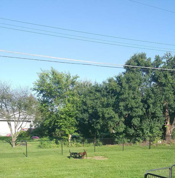 Fence World