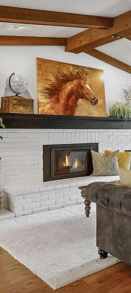 The Fireplace Guys
