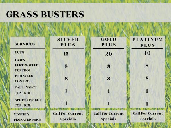 Grass Busters