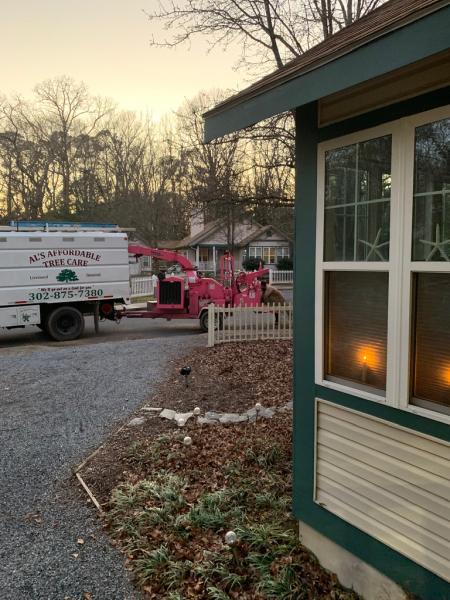 Al's Affordable Tree Care