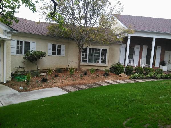 Meza Landscape Management