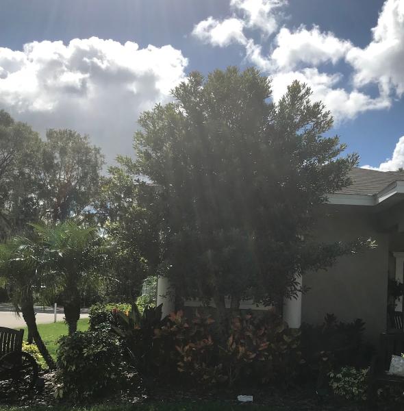 Linder Lawnscape Llc.