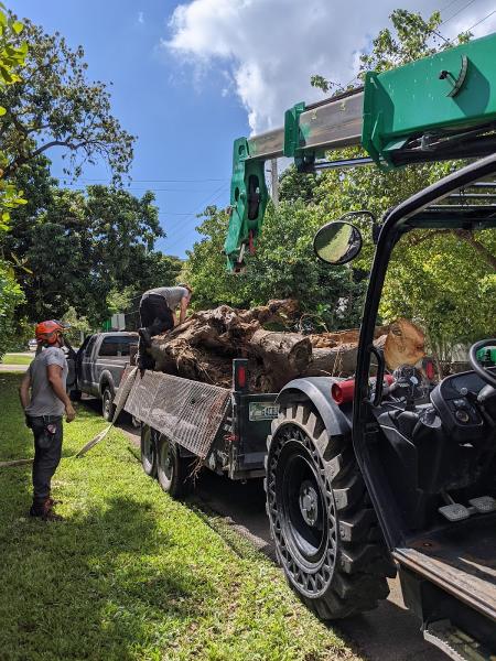 True Tree Service