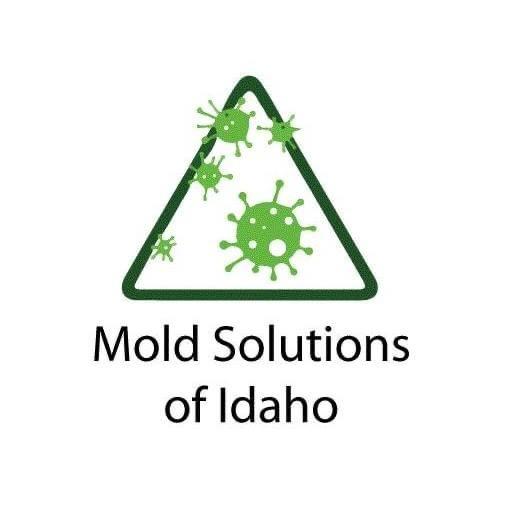 Mold Solutions