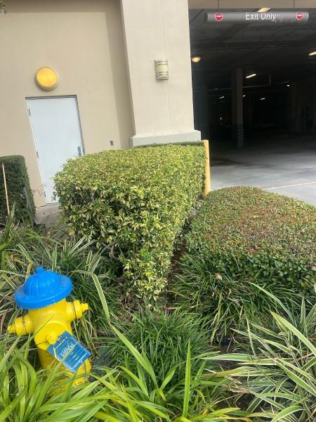Jfsr Enterprise LLC Dba Breit Turf Management