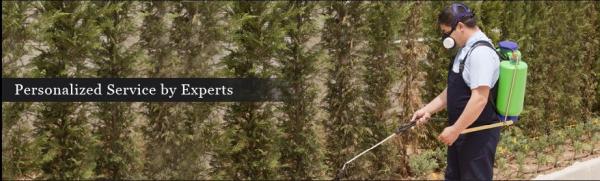 Reliable Pest Control