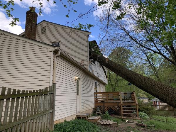 Advanced Chimney Consultants LLC