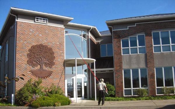 Squeeky Clean Window & Exterior Cleaning Inc.