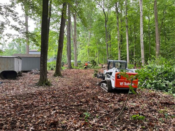 Green Tree Services