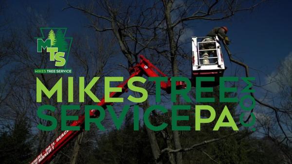 Mike's Tree Service