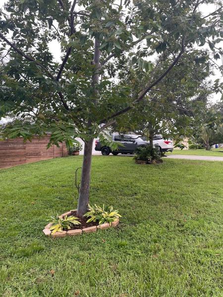 Busy B Lawn & Tree Services