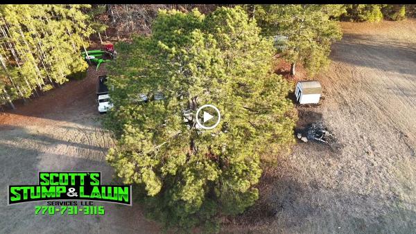 Scott's Stump & Lawn Service's