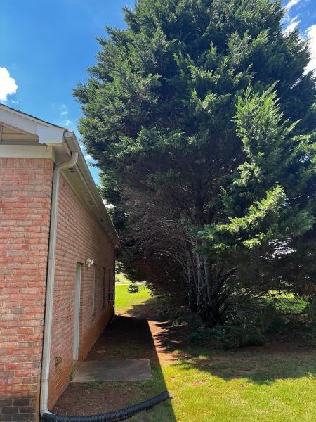Scott's Stump & Lawn Service's