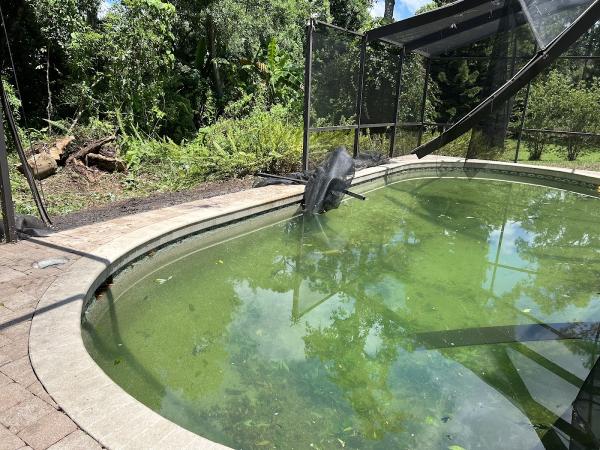 Onsite Stump & Tree