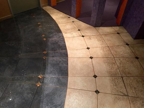 Discover Carpet Care