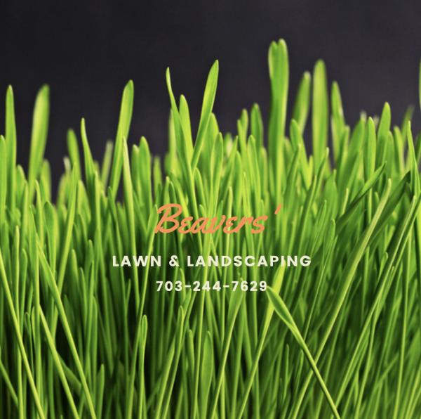 Beavers' Lawn & Landscaping