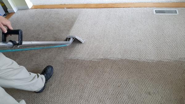 Spot Doctor Carpet & Tile Cleaning