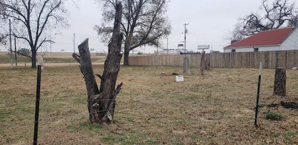 No Stump-Stump Removal